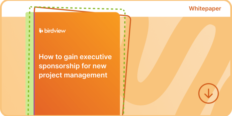 How to gain executive sponsorship for new project management
