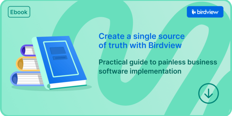 Practical guide to painless business software implementations