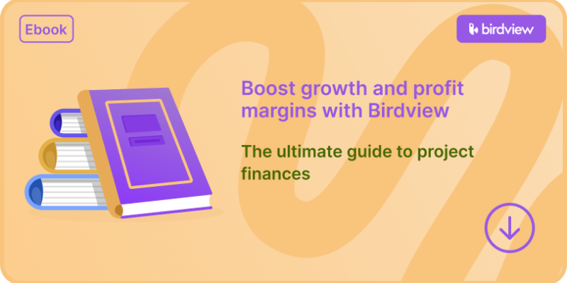The ultimate guide to project finances